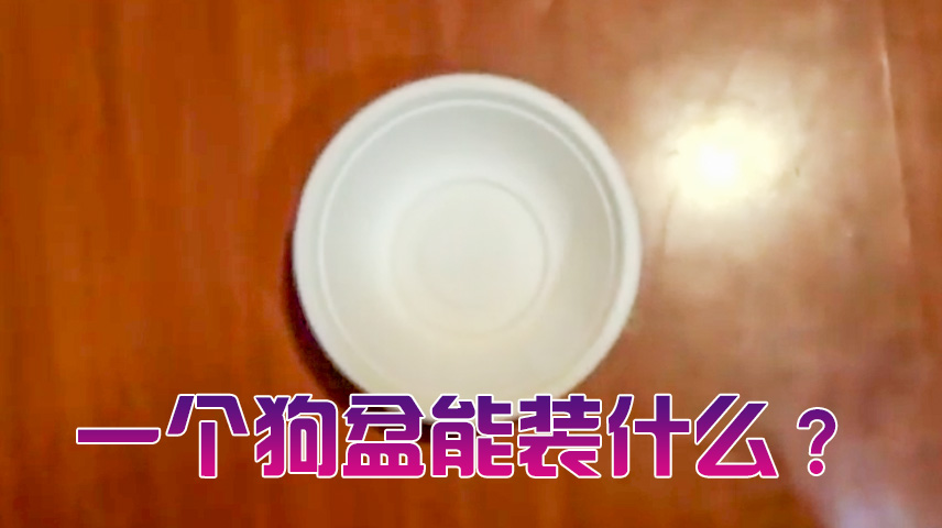 给狗奴一个狗盆,狗就知道做什么了