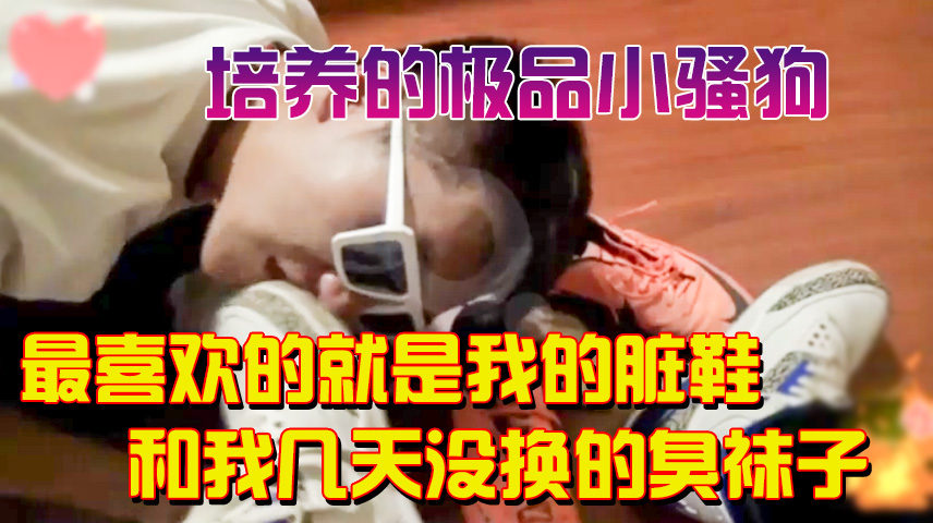 调教骚狗奴,就喜欢吃我的臭鞋,和我的臭袜子