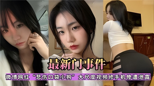 [独家] 网红悲伤口袋小狗修手机惨遭泄露 骚浪贱全裸视频疯传