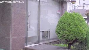啊啊啊
