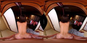 test011: Doggy, Cowgirl & Missonary VR Porn - 经典欧美
