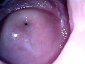 Cam in mouth vagina and extreme ass closup by ClubSweethearts: Amateur, Hd Porn & Pov Porn - 经典欧美