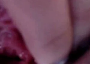 粉红色的猫