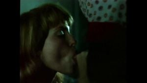 Joy (1977, 美国, Sharon Mitchell, 完整电影, 35毫米, DVD修复版)