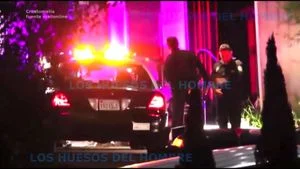 Selena Gomez es arrestada: Stripchat, Handcuffed & Arrested Porn - 经典欧美