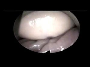 Inside View of Sex: Fingering, Fingering Pussy & Cunnilingus Porn - 经典欧美
