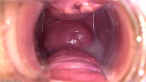 Puddle around her Cervix ft. Gina Devine: Babe & Xnxx Porn - 经典欧美