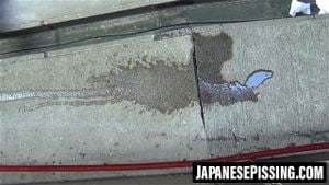 在窥视者跟随下，这些女性解决生理需求并清洁私处。