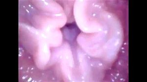 INSIDE VAGINA: Fansly & Closeup Porn - 经典欧美
