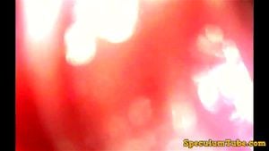 巨人女性肛门吞食视角