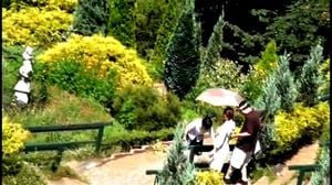 《羞耻之旅》 - <<<1>>>