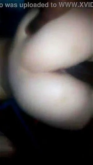 性交硬小狗风格