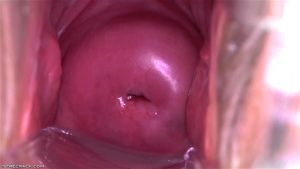 Tidy Twat ft. Veronica Rodriguez: Bongacams, Closeup & Speculum Porn - 经典欧美
