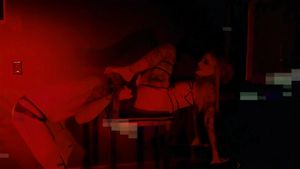 索科安PMV