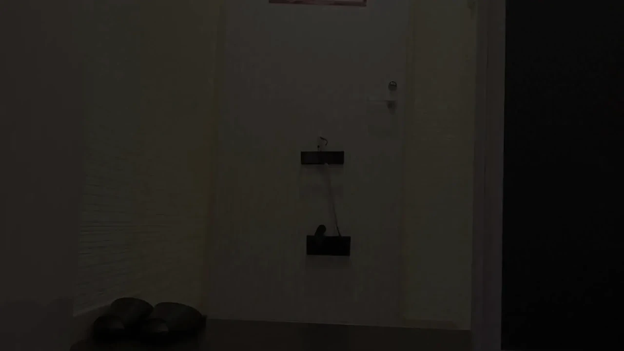 日本成熟女性在入口处小便