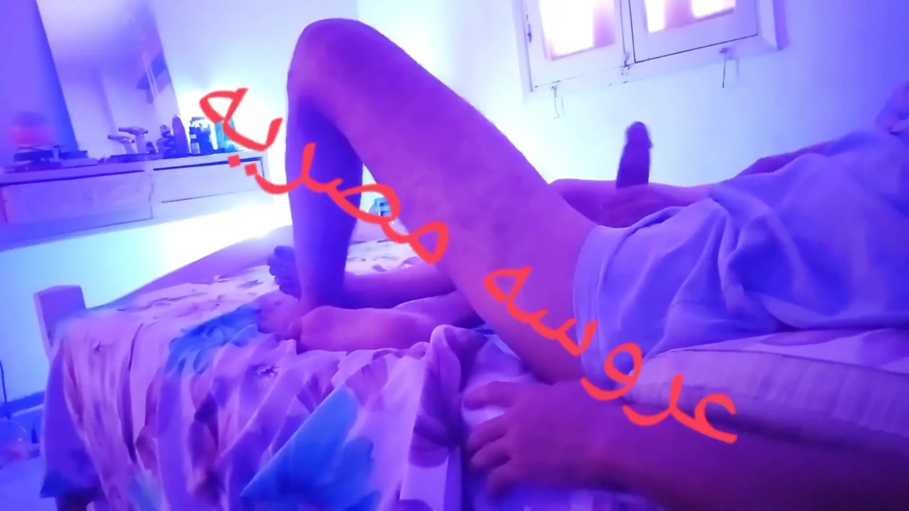 埃及新娘的新婚之夜, 哇, 太棒了!