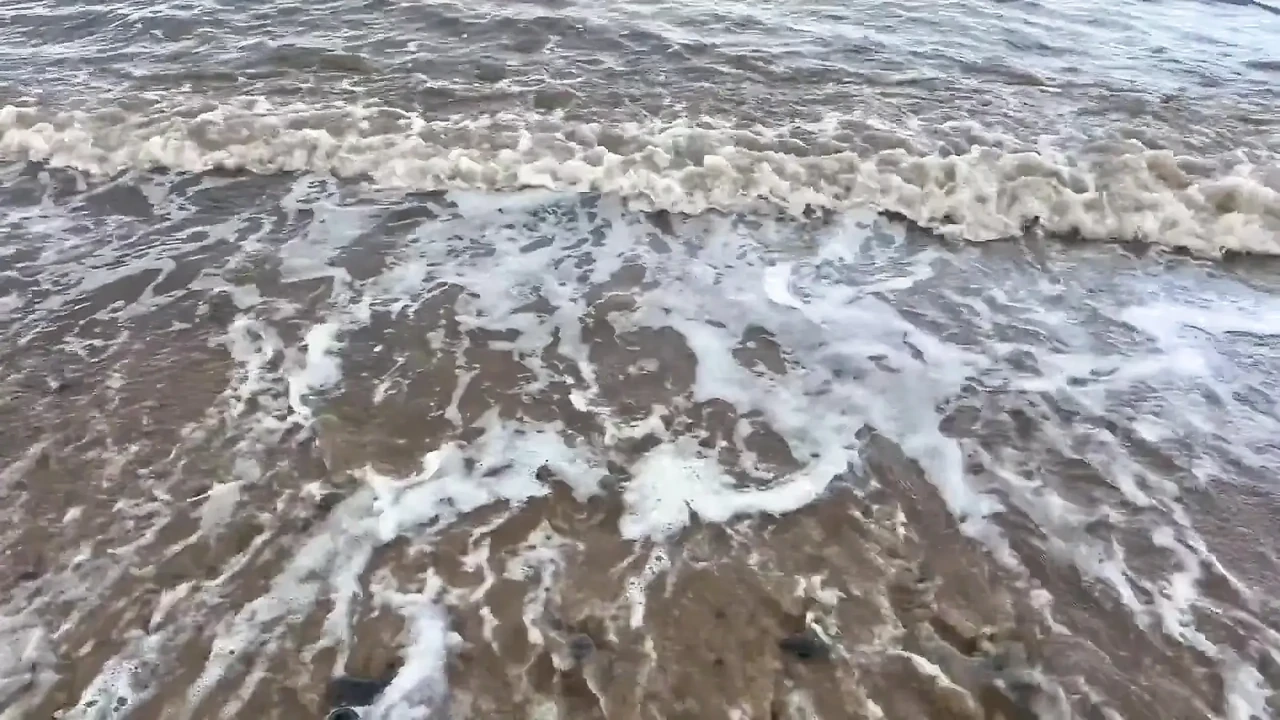 赤脚走在海滩上的 Sfw