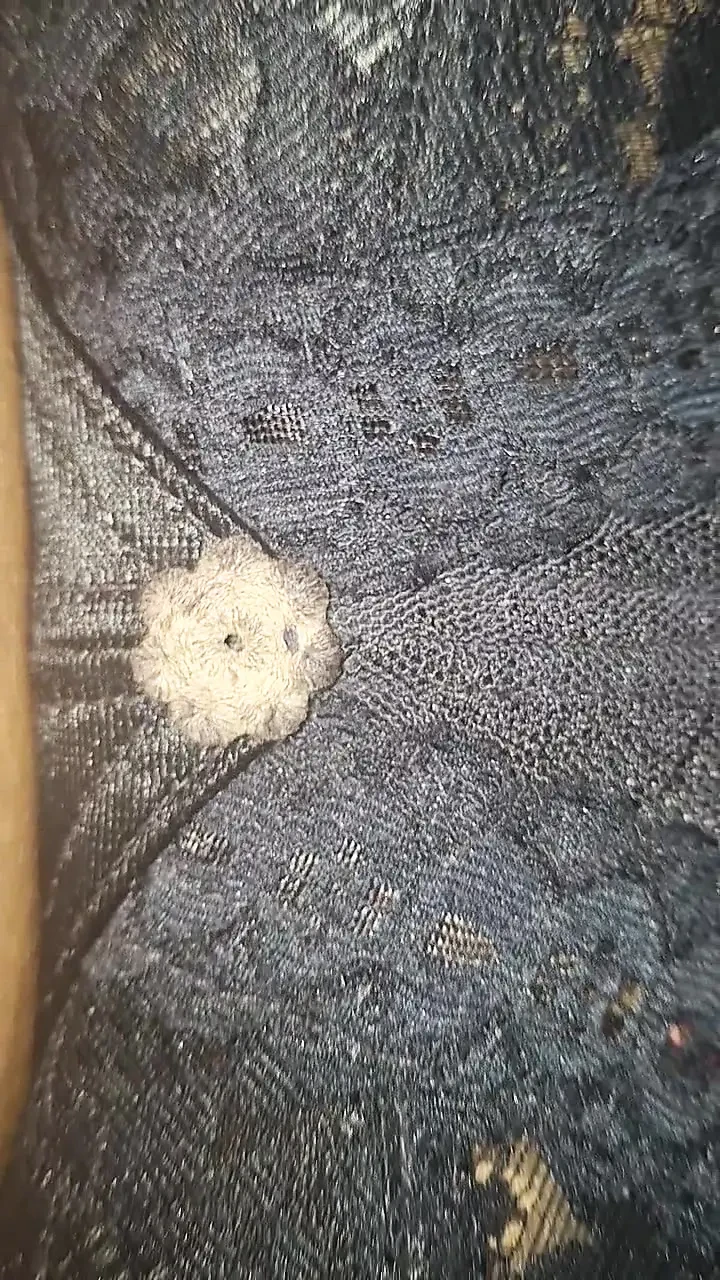 穿着纱丽的继母在家