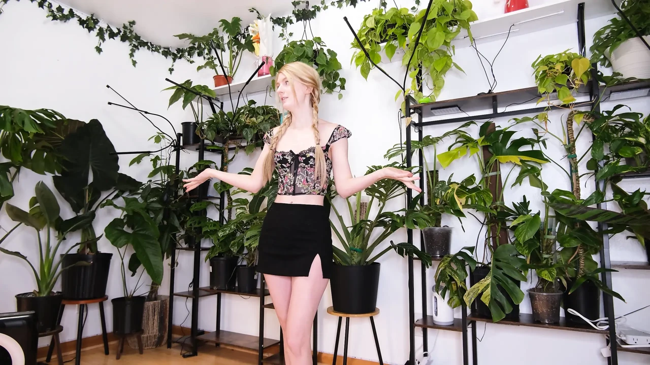 把我的植物搬进屋里