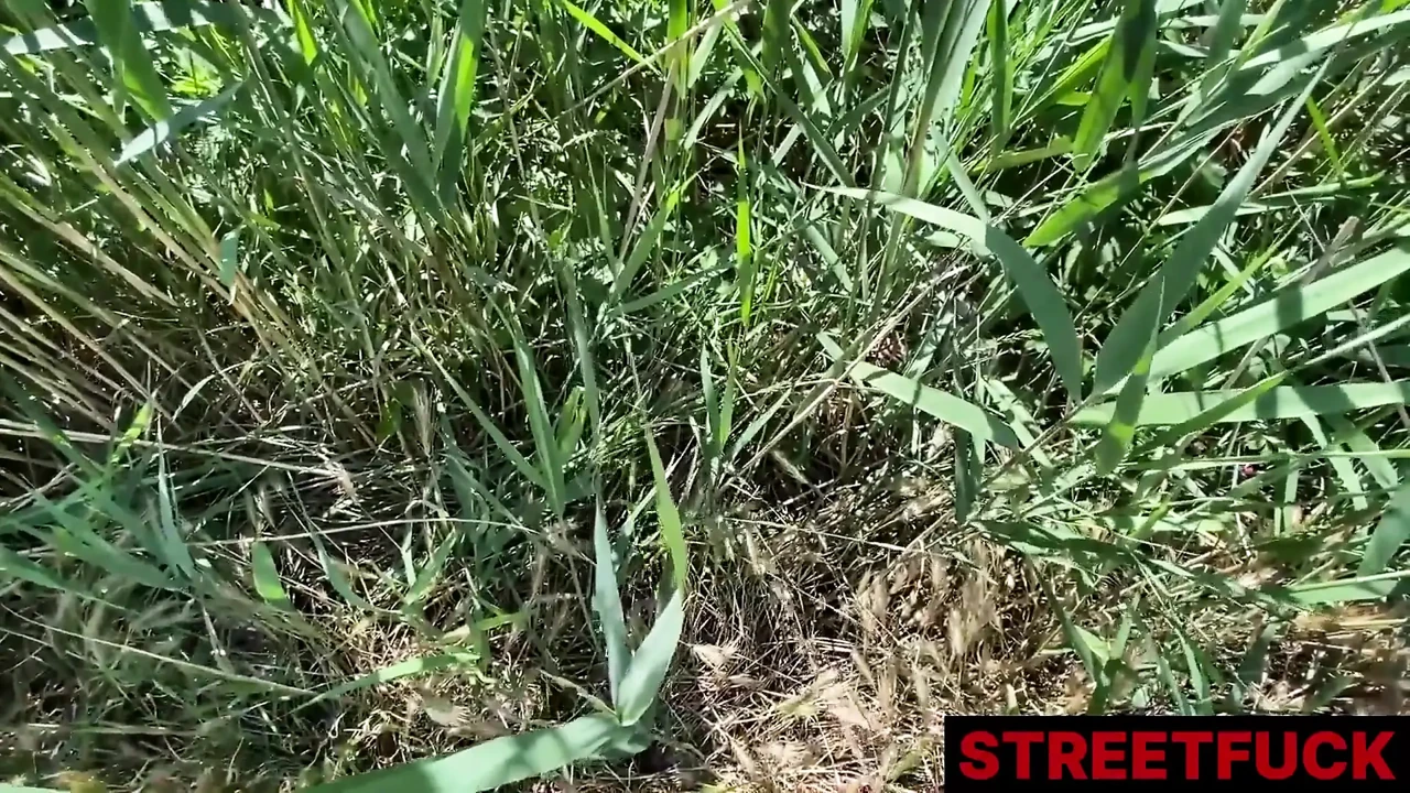 Streetfuck May Thai 想念她的公交车