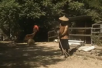 完整的Xxx电影