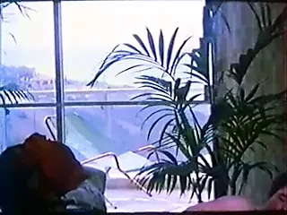 服从教育（法语）
