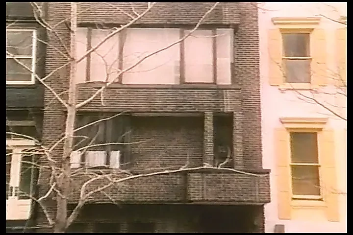 食人者（1983，我们，Kelly Nichols，整部电影，Dvd）