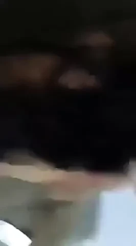 波斯尼亚人！！！！脏话。自制！