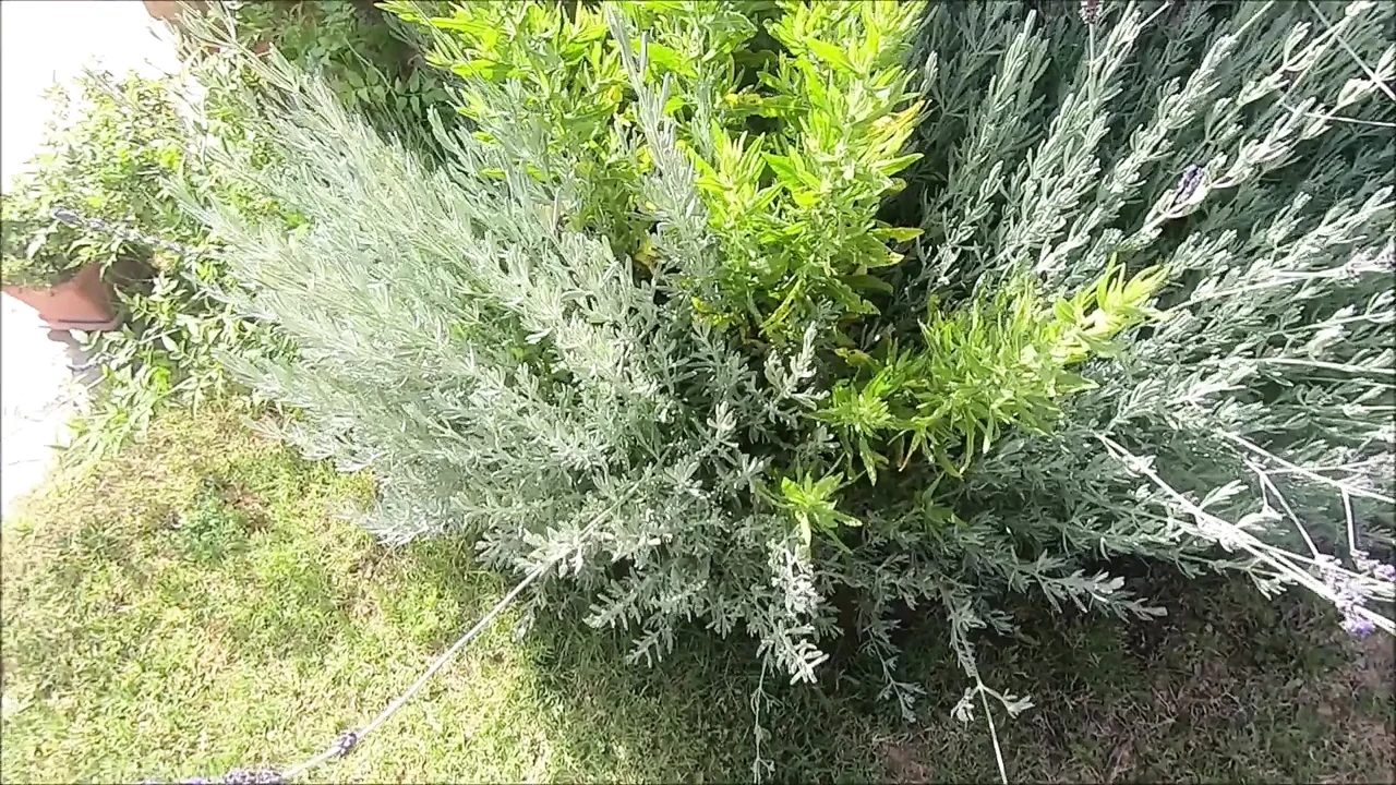 有人想要打网球？