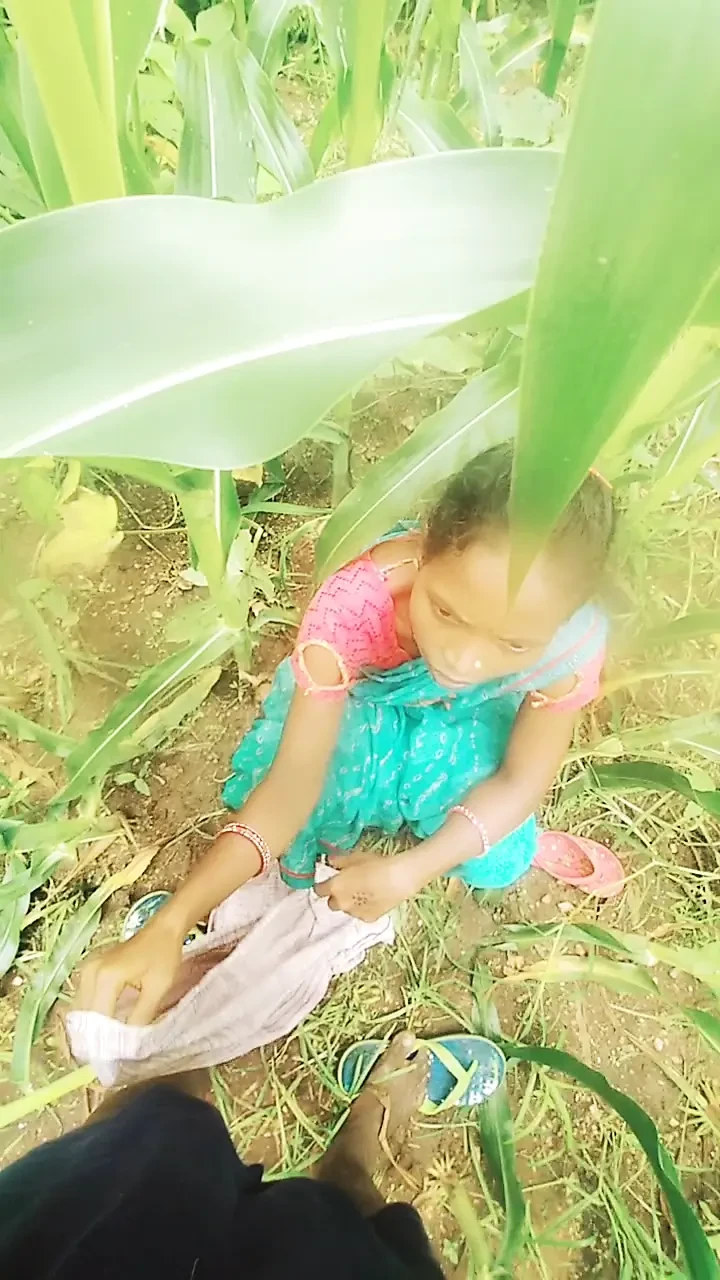 Sister-in-law called me to the field of maize today and sister-in-law sucked my cock and removed the water, then I picked up sister-in-law's two legs and fucked my sister-in-law loudly.