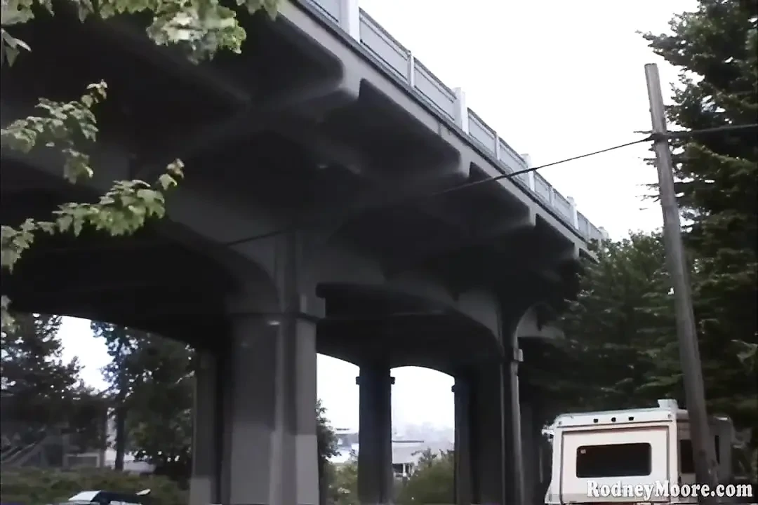 Vhs 导演的毛茸茸的女孩操桑迪