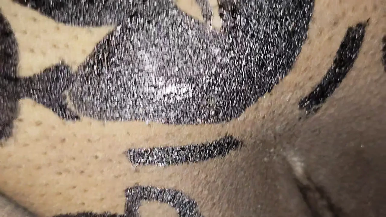 蝴蝶画性爱