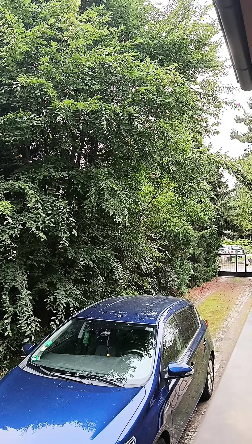 引擎盖上的性感苍白屁股