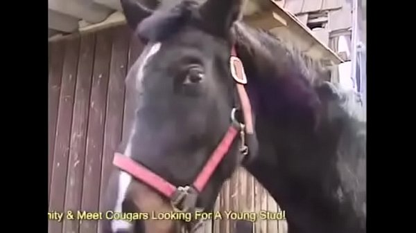 cougar_with_perfect_booty_gets_ass_fucked_outdoors